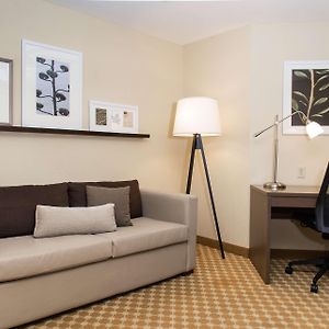 Premium King Suite Sofa Bed Non-Smoking